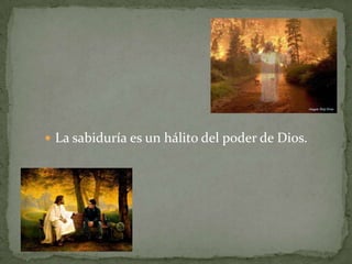  La sabiduría es un hálito del poder de Dios.
 