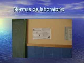 Normas de laboratorio
 