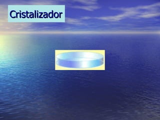 Cristalizador
 