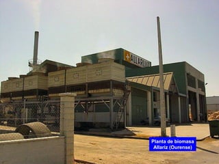 Biomasa e biogás
• Obtense da combustión e fermentación de materia orgánica de orixe
agrícola, gandeira, forestal; lixo; ou certas industrias que usan
produtos orgánicos (industria agroalimentaria); madeira ou papel.
• Destínanse a producir enerxía eléctrica ou térmica, queimándoos
directamente, ou transformándoos en biogás a partir da fermentación
sen aire dos residuos do lixo, os xurros gandeiros e os lodos de
depuración.
• Permite producir biocombustibles (bioetanol (cereais e remolacha),
e biodiésel (xirasol e colza)).
• Localízanse en ámbitos rurais ou nos portos (importación por mar).
• Estase fomentando a co-combustión, combustión conxunta da
biomasa e do carbón nas centrais térmicas e o uso doméstico en
estufas de pellets.
• As comunidades máis produtoras son Andalucía, Galicia, Castela-
León.
 