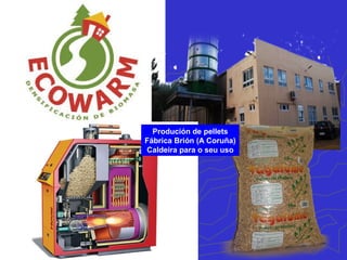 Planta de bioetanol
Teixeiro (Curtis)
 