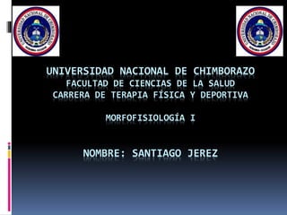 UNIVERSIDAD NACIONAL DE CHIMBORAZO
FACULTAD DE CIENCIAS DE LA SALUD
CARRERA DE TERAPIA FÍSICA Y DEPORTIVA
MORFOFISIOLOGÍA I
NOMBRE: SANTIAGO JEREZ
 