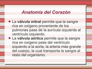 Anatomía del Corazón
 La válvula mitral permite que la sangre
rica en oxígeno proveniente de los
pulmones pase de la aurícula izquierda al
ventrículo izquierdo.
 La válvula aórtica permite que la sangre
rica en oxígeno pase del ventrículo
izquierdo a la aorta, la arteria más grande
del cuerpo, la cual transporta la sangre al
resto del organismo.
 