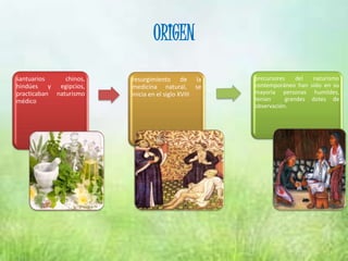 ORIGEN
santuarios chinos,
hindúes y egipcios,
practicaban naturismo
médico
resurgimiento de la
medicina natural, se
inicia en el siglo XVIII
precursores del naturismo
contemporáneo han sido en su
mayoría personas humildes,
tenían grandes dotes de
observación.
 