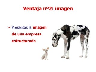 Ventaja nº2: imagen


 Presentas la imagen
 de una empresa
 estructurada
 