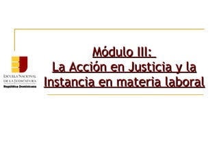 Módulo III:
  La Acción en Justicia y la
Instancia en materia laboral
 