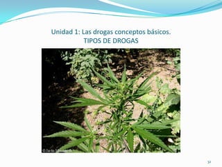 Unidad 1: Las drogas conceptos básicos.
           TIPOS DE DROGAS




                                          32
 