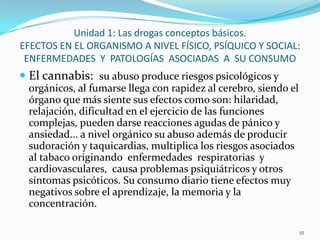 Unidad 1: Las drogas conceptos básicos.
EFECTOS EN EL ORGANISMO A NIVEL FÍSICO, PSÍQUICO Y SOCIAL:
 ENFERMEDADES Y PATOLOGÍAS ASOCIADAS A SU CONSUMO
 El cannabis: su abuso produce riesgos psicológicos y
 orgánicos, al fumarse llega con rapidez al cerebro, siendo el
 órgano que más siente sus efectos como son: hilaridad,
 relajación, dificultad en el ejercicio de las funciones
 complejas, pueden darse reacciones agudas de pánico y
 ansiedad... a nivel orgánico su abuso además de producir
 sudoración y taquicardias, multiplica los riesgos asociados
 al tabaco originando enfermedades respiratorias y
 cardiovasculares, causa problemas psiquiátricos y otros
 síntomas psicóticos. Su consumo diario tiene efectos muy
 negativos sobre el aprendizaje, la memoria y la
 concentración.

                                                                 55
 