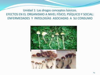 Unidad 1: Las drogas conceptos básicos.
EFECTOS EN EL ORGANISMO A NIVEL FÍSICO, PSÍQUICO Y SOCIAL:
 ENFERMEDADES Y PATOLOGÍAS ASOCIADAS A SU CONSUMO




                                                         64
 