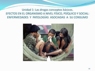 Unidad 1: Las drogas conceptos básicos.
EFECTOS EN EL ORGANISMO A NIVEL FÍSICO, PSÍQUICO Y SOCIAL:
 ENFERMEDADES Y PATOLOGÍAS ASOCIADAS A SU CONSUMO




                                                         66
 