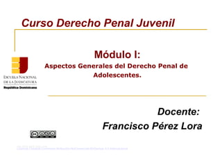 Docente:
Francisco Pérez Lora
Curso Derecho Penal Juvenil
Módulo I:
Aspectos Generales del Derecho Penal de
Adolescentes.
sta obra está bajo una
Licencia Creative Commons Atribución-NoComercial-SinDerivar 4.0 Internacional
 