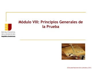 Módulo VIII: Principios Generales de
              la Prueba




                           © Escuela Nacional de la Judicatura, 2013
 