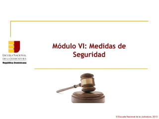 Módulo VI: Medidas de
     Seguridad




                  © Escuela Nacional de la Judicatura, 2013
 