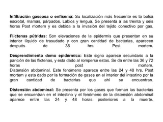 Infiltración gaseosa o enfisema: Su localización más frecuente es la bolsa
escrotal, mamas, párpados. Labios y lengua. Se presenta a las treinta y seis
horas Post mortem y es debida a la invasión del tejido conectivo por gas.

Flictenas pútridas: Son elevaciones de la epidermis que presentan en su
interior líquido de trasudado y con gran cantidad de bacterias, aparecen
después            de        36         hrs.        Post         mortem.

Desprendimiento demo epidérmico: Este signo aparece secundario a la
parición de las flictenas, y esta dado al romperse estas. Se da entre las 36 y 72
horas                                 post                               mortem.
Distensión abdominal. Este fenómeno aparece entre las 24 y 48 hrs. Post
mortem y esta dado por la formación de gases en el interior del intestino por la
gran      cantidad      de      bacterias    que      ahí     se     encuentran.

Distensión abdominal: Se presenta por los gases que forman las bacterias
que se encuentran en el intestino y el fenómeno de la distensión abdominal
aparece entre las 24 y 48 horas posteriores a la muerte.
 