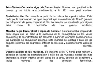Tela Glerosa Corneal o signo de Stenon Louis. Que es una opacidad en la
córnea y se inicia aproximadamente a la 12ª hora post mortem.

Deshidratación. Se presenta a partir de la octava hora post mortem. Esta
dada por la evaporación del agua corporal, que es alrededor de 10 a15 gramos
por kilogramo de peso corporal al día. Lo anterior se manifiesta por signos
tales     como      la    depresión       de     los     globos     oculares.

Mancha negra Esclorotical o signo de Sommer. Es una mancha irregular de
color negro que se debe a la oxidación de la hemoglobina de los vasos
coroideos y la deshidratación. Se presenta a partir de la 5ª hora post mortem si
los párpados se encuentran abiertos. Esta mancha se localiza a nivel de los
ángulos externos del segmento anterior de los ojos y posteriormente aparece
en                                 los                                  internos.

Despitelización de las mucosas. Se presenta a las 72 horas post mortem y
consiste en signos de deshidratación a nivel de las mucosas, siendo las más
afectadas la región interna de los labios de la boca, escroto en el hombre y
labios       mayores         en         los       genitales       femeninos.
 