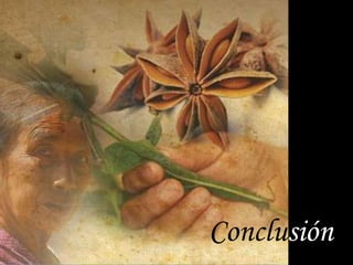 Conclusión
 
