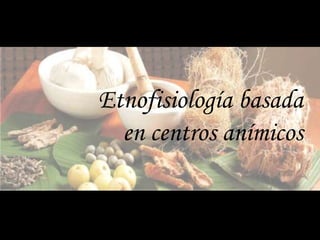 Etnofisiología basada
en centros anímicos
 