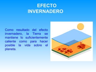 EFECTO INVERNADERO  Como resultado del efecto invernadero, la Tierra se mantiene lo suficientemente caliente como para hacer posible la vida sobre el planeta. 