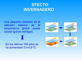 U na pequeña variación en el delicado balance de la temperatura global puede causar graves estragos. En los últimos 100 años se ha aumentado 0,4-0,8 ºC EFECTO INVERNADERO  