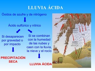 LLUVIA ÁCIDA Óxidos de azufre y de nitrógeno Ácido sulfúrico y nítrico Si  desaparecen por gravedad o por impacto Si  se combinan con la humedad de   las nubes y caen con la lluvia, la nieve y el rocío PRECIPITACIÓNSECA LLUVIA ÁCIDA 