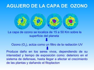 AGUJERO DE LA CAPA DE  OZONO La capa de ozono se localiza de 15 a 50 Km sobre la superficie del planeta  Ozono (O 3 ), actúa como un filtro de la radiación UV Produce  daño en los seres vivos, dependiendo de su intensidad y tiempo de exposición  como:  deterioro en el sistema de defensas, hasta llegar a afectar el crecimiento de las plantas y dañando el fitoplacton 