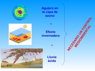 Agujero en la capa de ozono Efecto invernadero Lluvia ácida + + NECESARIO UN CONTROL MEDIOMBIENTAL  