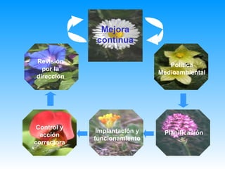 Política Medioambiental Planificación Implantación y funcionamiento Control y acción correctora Revisión por la dirección Mejora continua 