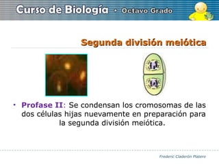 PresentacióN Meiosis | PPS