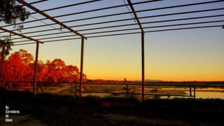 [MERENDERO DEL PANTANO] [VALDESALOR]