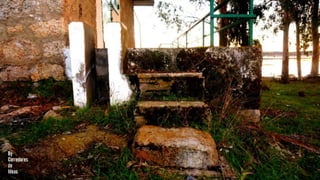 [MERENDERO DEL PANTANO] [VALDESALOR]