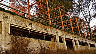 [MERENDERO DEL PANTANO] [VALDESALOR]