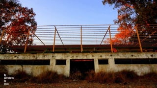 [MERENDERO DEL PANTANO] [VALDESALOR]