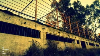 [MERENDERO DEL PANTANO] [VALDESALOR]