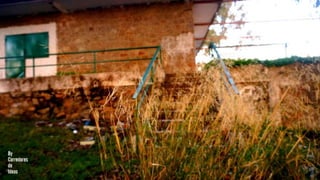 [MERENDERO DEL PANTANO] [VALDESALOR]