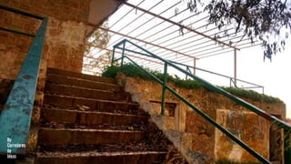 [MERENDERO DEL PANTANO] [VALDESALOR]