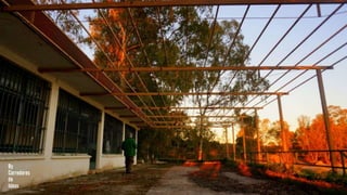 [MERENDERO DEL PANTANO] [VALDESALOR]