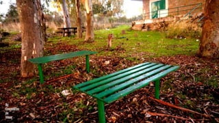 [MERENDERO DEL PANTANO] [VALDESALOR]