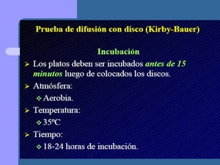 Presentación metodo de kirby bauer