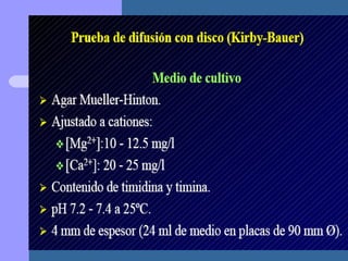 Presentación metodo de kirby bauer