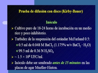 Presentación metodo de kirby bauer