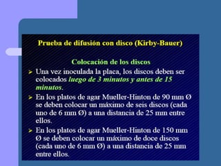 Presentación metodo de kirby bauer