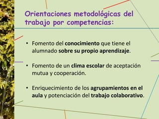 Orientaciones metodológicas del
trabajo por competencias:
• Fomento del conocimiento que tiene el
alumnado sobre su propio aprendizaje.
• Fomento de un clima escolar de aceptación
mutua y cooperación.
• Enriquecimiento de los agrupamientos en el
aula y potenciación del trabajo colaborativo.
 