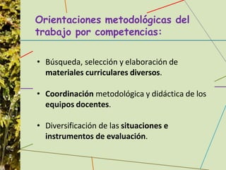 Orientaciones metodológicas del
trabajo por competencias:
• Búsqueda, selección y elaboración de
materiales curriculares diversos.
• Coordinación metodológica y didáctica de los
equipos docentes.
• Diversificación de las situaciones e
instrumentos de evaluación.
 