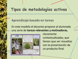 Tipos de metodologías activas
Aprendizaje basado en tareas
En este modelo el docente propone al alumnado
una serie de tareas relevantes y motivadoras,
claramente
contextualizadas, que
tienen que ser resueltas
con la presentación de
un producto final.
 