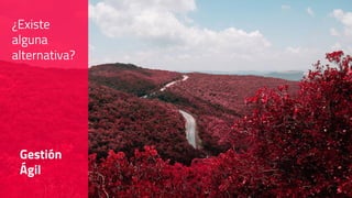 ¿Existe
alguna
alternativa?
Gestión
Ágil
 