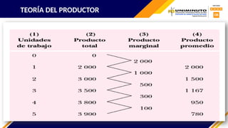 TEORÍA DEL PRODUCTOR
 