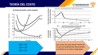 TEORÍA DEL COSTO
CM < CP
CM > CP
CM = CP
Las curvas de costo tienen forma de
U, por los rendimientos decrecientes
y el efecto en el corto y largo plazo
 