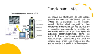 Funcionamiento
Un cañón de electrones de alto voltaje
genera un haz de electrones que se
enfoca en la superficie de la muestra
usando lentes electromagnéticos. Los
electrones interactúan con los átomos de
la muestra, provocando la emisión de
electrones secundarios y otros tipos de
radiación electromagnética, como los
rayos X. Estas partículas emitidas son
detectadas por detectores y los datos se
utilizan para crear una imagen de alta
resolución de la superficie de la muestra
 