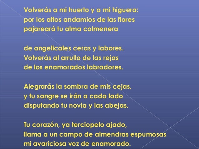 Presentacion Miguel Hernandez presentacion miguel hernandez