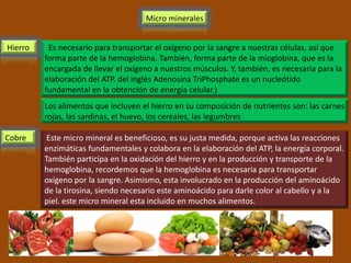 Micro minerales


Hierro    Es necesario para transportar el oxígeno por la sangre a nuestras células, así que
         forma parte de la hemoglobina. También, forma parte de la mioglobina, que es la
         encargada de llevar el oxígeno a nuestros músculos. Y, también, es necesaria para la
         elaboración del ATP. del inglés Adenosina TriPhosphate es un nucleótido
         fundamental en la obtención de energía celular.)
         Los alimentos que incluyen el hierro en su composición de nutrientes son: las carnes
         rojas, las sardinas, el huevo, los cereales, las legumbres

Cobre     Este micro mineral es beneficioso, es su justa medida, porque activa las reacciones
         enzimáticas fundamentales y colabora en la elaboración del ATP, la energía corporal.
         También participa en la oxidación del hierro y en la producción y transporte de la
         hemoglobina, recordemos que la hemoglobina es necesaria para transportar
         oxígeno por la sangre. Asimismo, esta involucrado en la producción del aminoácido
         de la tirosina, siendo necesario este aminoácido para darle color al cabello y a la
         piel. este micro mineral esta incluido en muchos alimentos.
 
